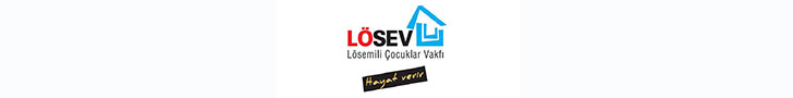 Lösev2 Lösev2