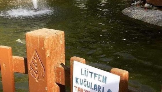 Ankara'da ilginç bir uyarı