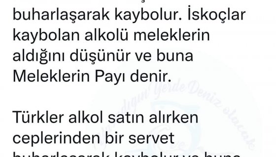 İSVEÇ