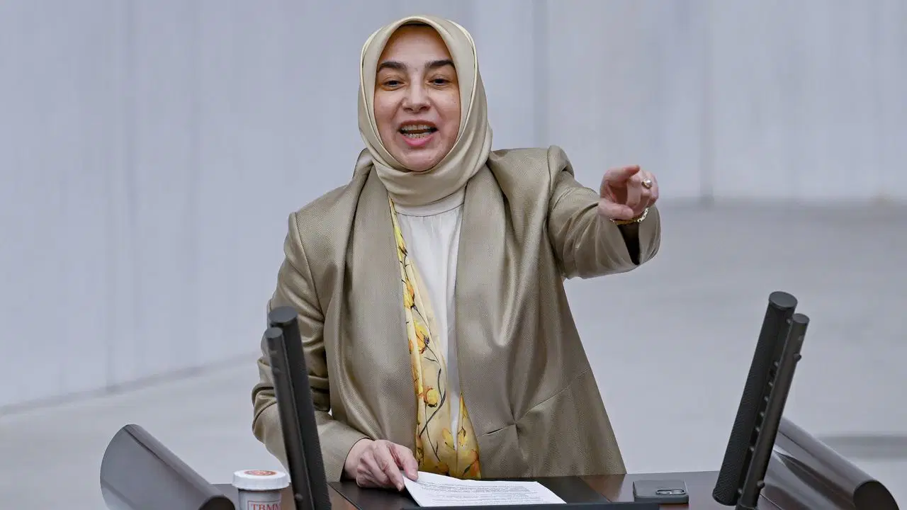 AKP’li Özlem Zengin'den ‘fon krizi’ çağrısı: ‘Listenin tamamının açıklanmasını istiyorum’