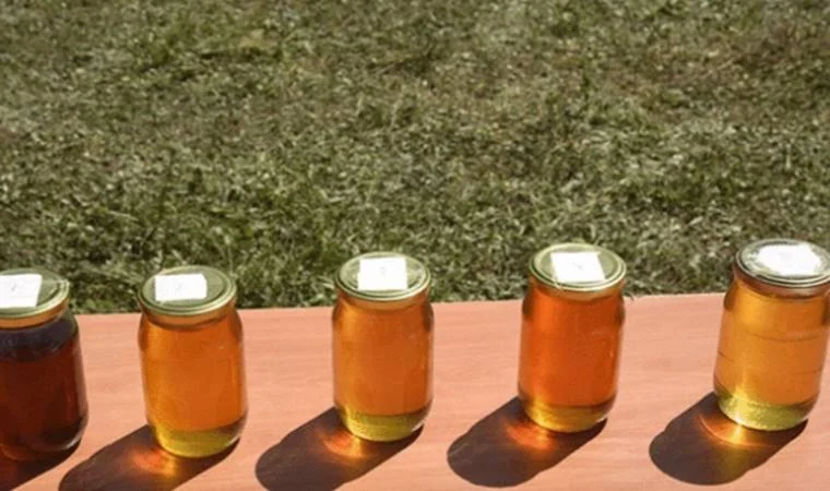 Artvin’de 1 kg Bal 17 Bin Liraya Satıldı