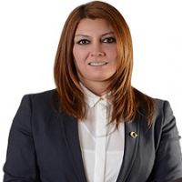DENİZ ÖZKÖK: SİNAN OĞAN'IN AZERBAYCAN SOCAR DOSYASINI AÇIKLIYORUZ