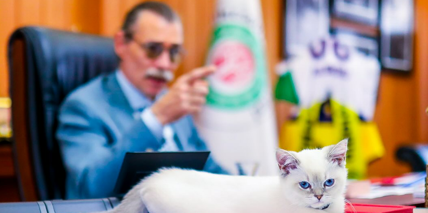 Etimesgut Belediyesi Sokak Hayvanlarını İşe Alıyor...