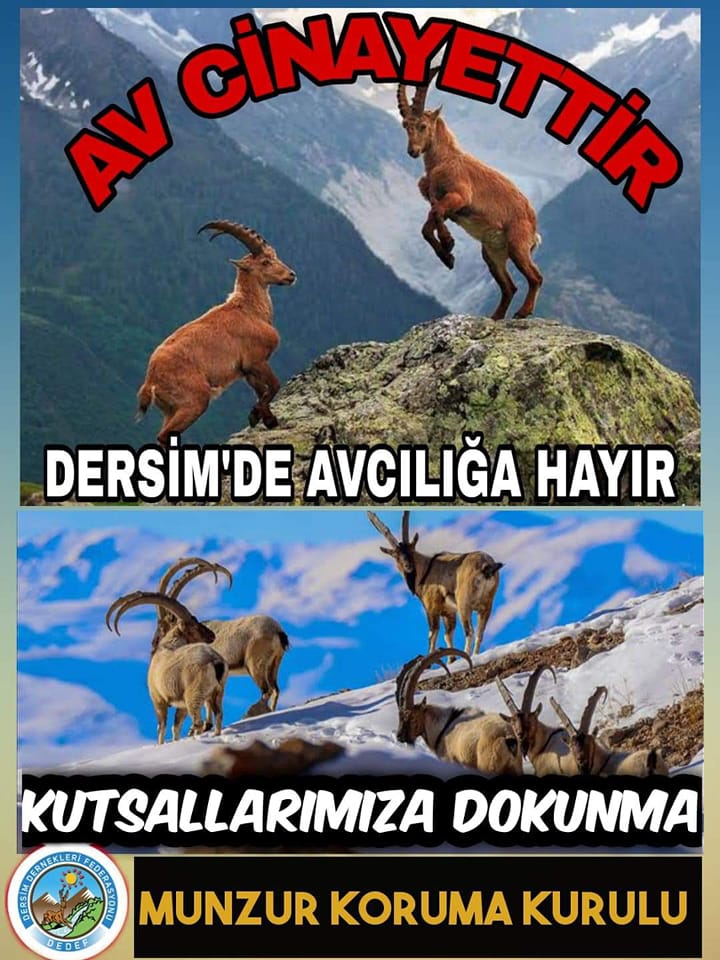Munzur Koruma Kurulu: Av Cinayettir!