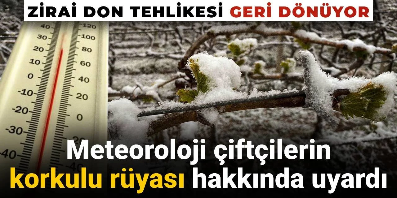Zirai don tehlikesi geri dönüyor: Meteoroloji çiftçilerin korkulu rüyası hakkında uyardı