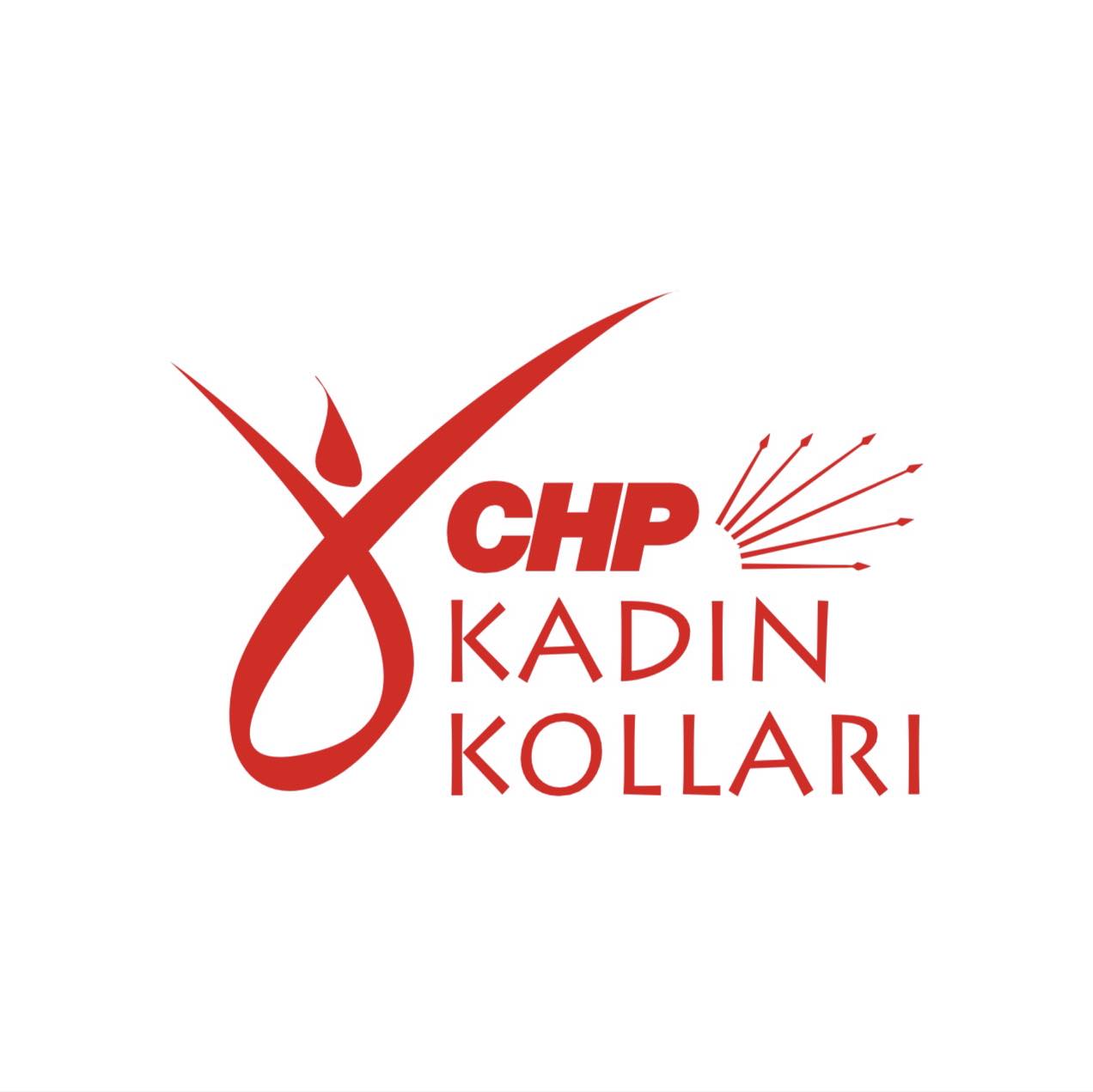 CHP Mamak İlçe Kadın Kolları Yönetimi İstifa Etti