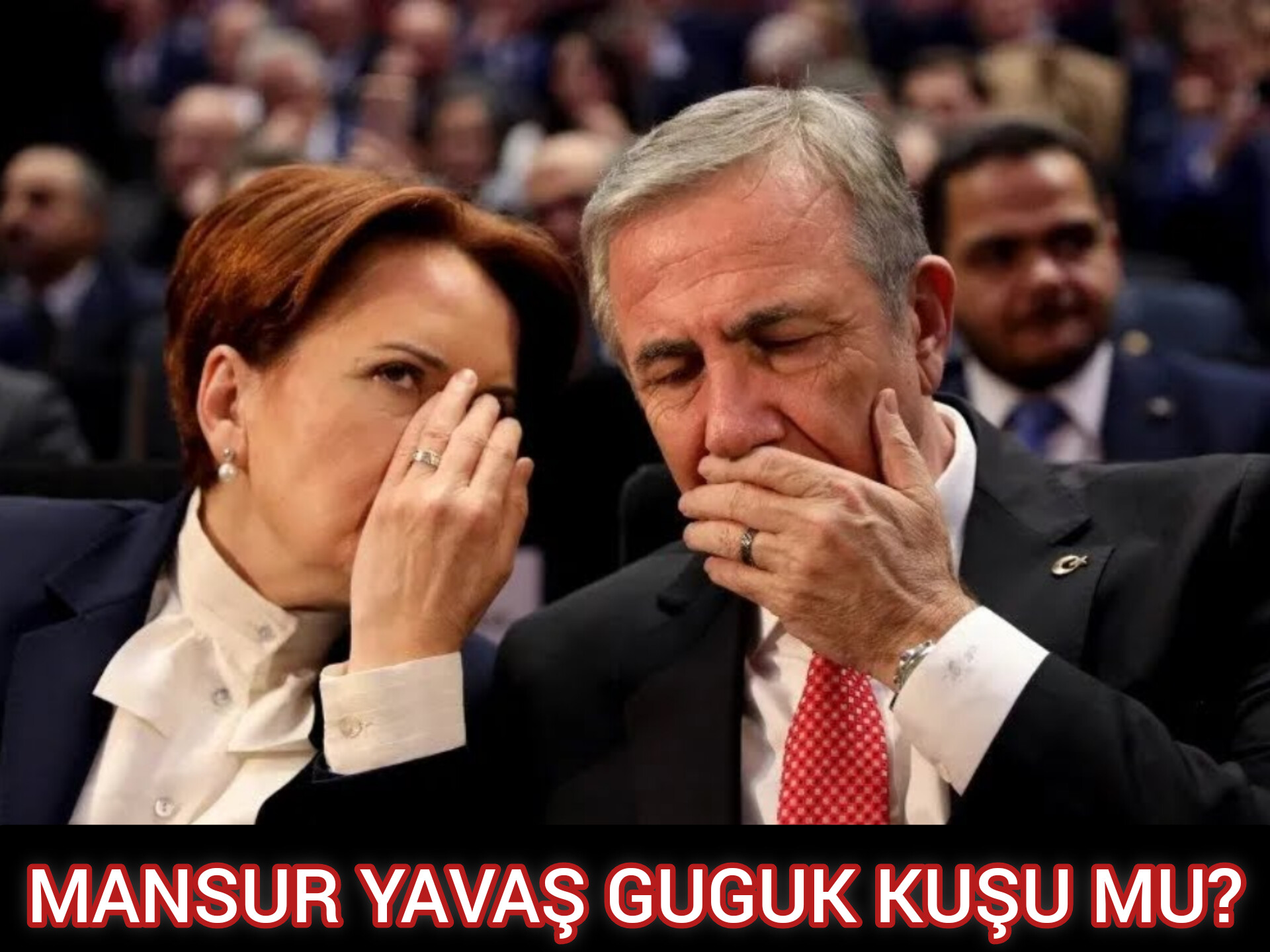 MANSUR YAVAŞ GUGUK KUŞU MU?