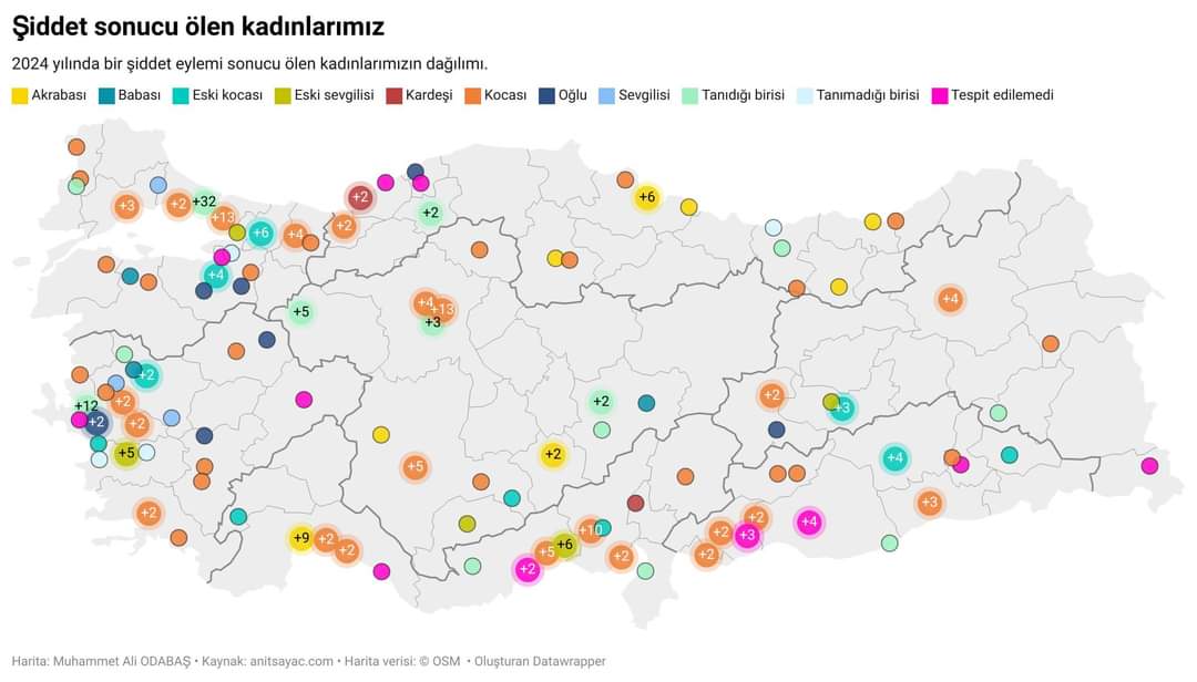 2024 yılının başından beri şiddet sonucu ölen kadınlarımızın dağılımı...