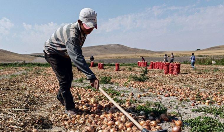 Dünya Çocuk Hakları Günü'nde ortaya çıkan acı tablo: Çocuklar aç ve güvende değiller