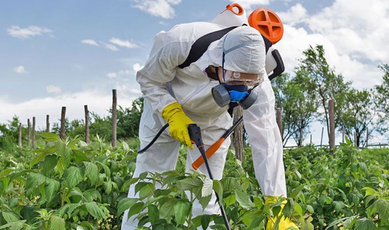 Limon, Biber ve Domateste Limit Üstü Pestisit Kalıntısı Tespit Edildi