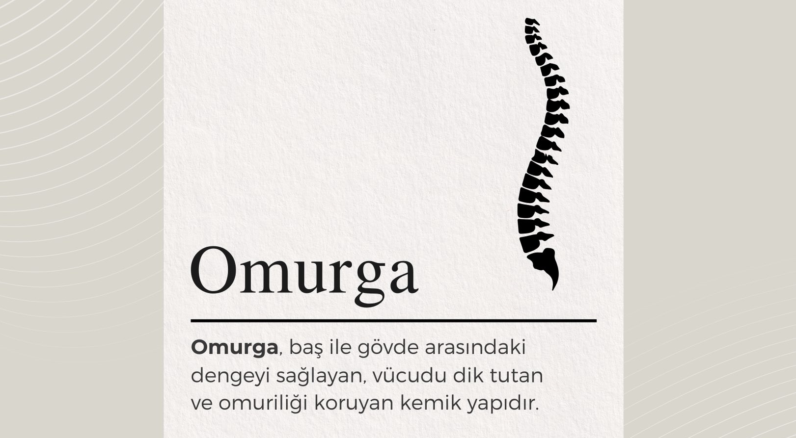 OMURGA VE CHP