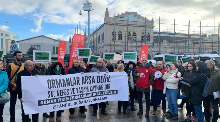 662 bin orman sır oldu