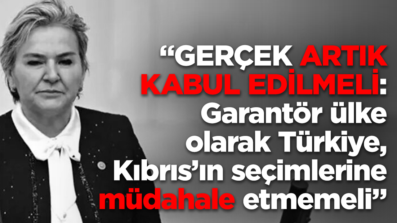 Özdemir: Türkiye, seçim sürecine müdahil olmak yerine tarafsızlığını korumalı