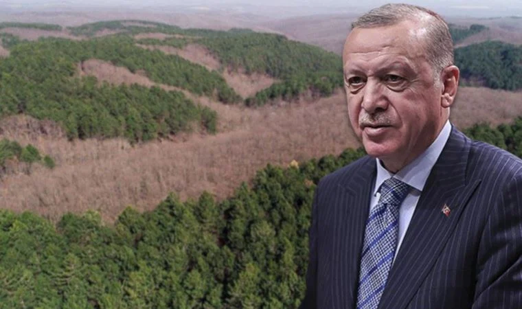 Cumhurbaşkanı Erdoğan imzaladı, 11 ilde bazı alanlar ‘orman sınırı’ dışına çıktı