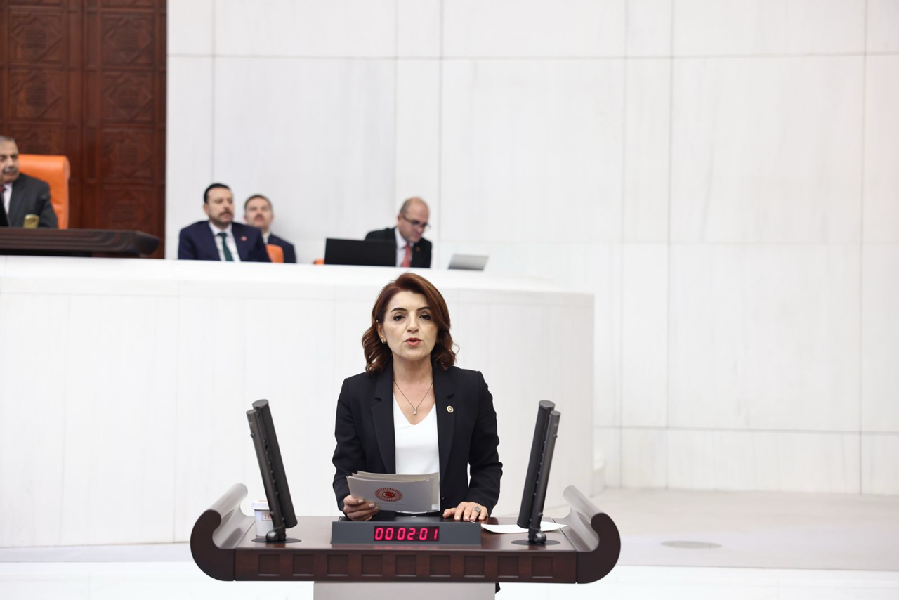 CHP’li Gülcan Kış: Ekonomi değil, vatandaş batıyor. Halk faize, yanlış politikaların faturasını ödüyor!