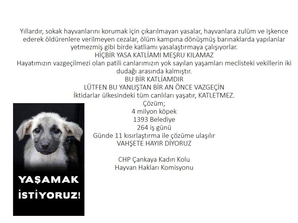 ÇANKAYA KK